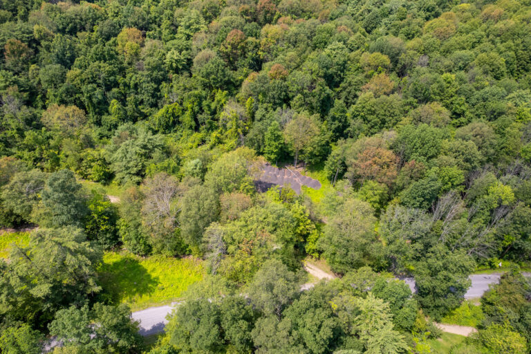 111 Blossom Hill, Ravena, NY 12143-09