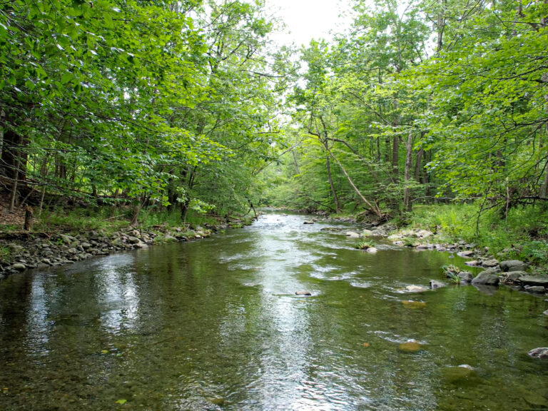 STREAM-1
