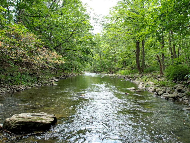 STREAM-2