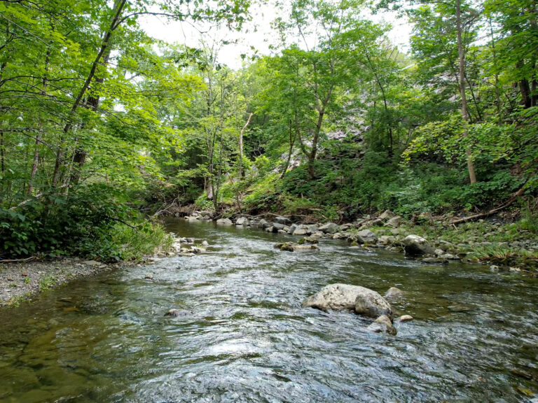 STREAM-4