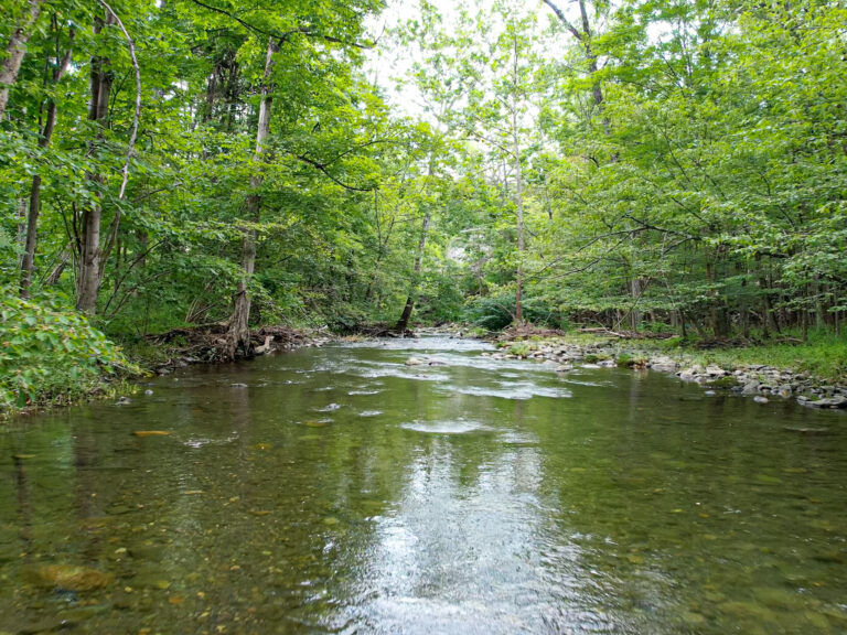 STREAM-5
