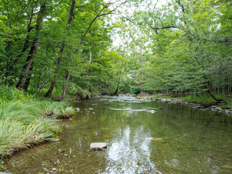 STREAM-6