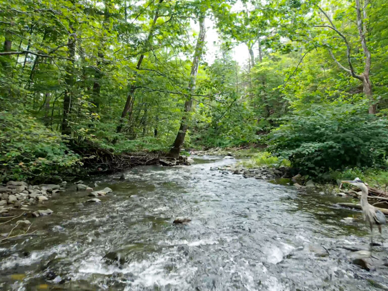 STREAM-7